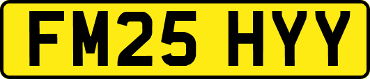 FM25HYY
