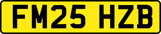 FM25HZB