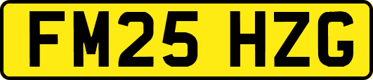 FM25HZG