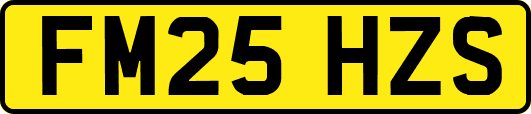 FM25HZS