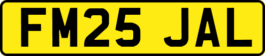 FM25JAL