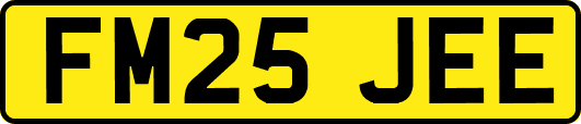 FM25JEE