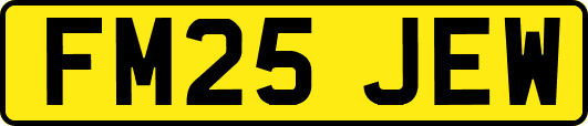 FM25JEW