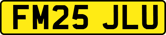 FM25JLU