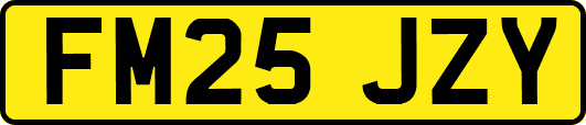 FM25JZY