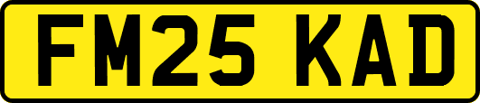 FM25KAD