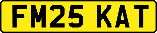 FM25KAT