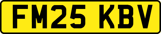 FM25KBV