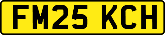 FM25KCH