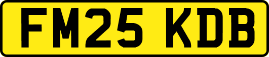 FM25KDB