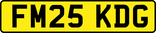 FM25KDG