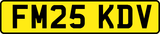FM25KDV