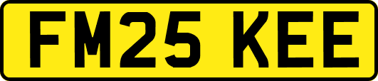 FM25KEE