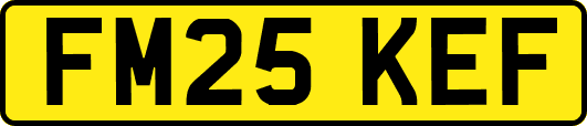 FM25KEF
