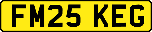FM25KEG
