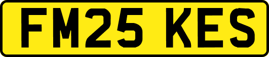 FM25KES