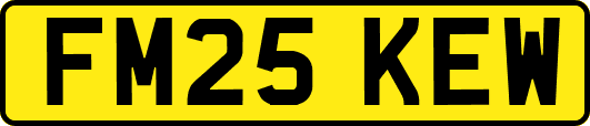 FM25KEW