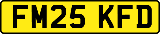 FM25KFD