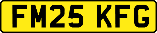 FM25KFG