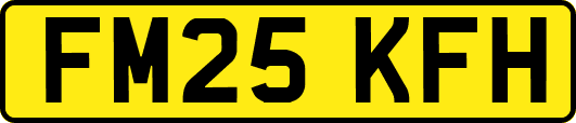 FM25KFH
