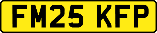 FM25KFP