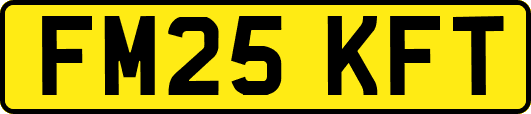 FM25KFT