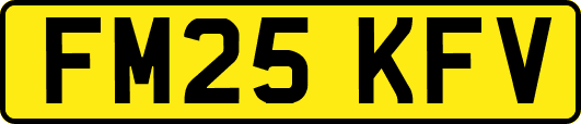 FM25KFV