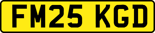 FM25KGD