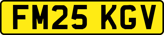 FM25KGV