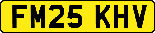 FM25KHV
