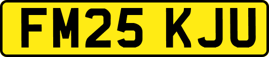 FM25KJU