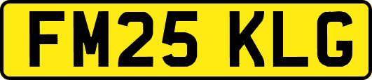 FM25KLG