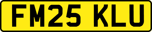 FM25KLU