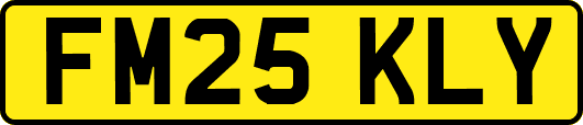 FM25KLY