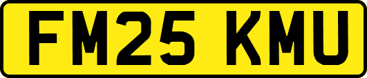 FM25KMU