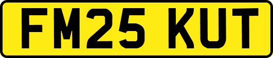FM25KUT