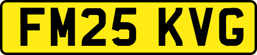FM25KVG