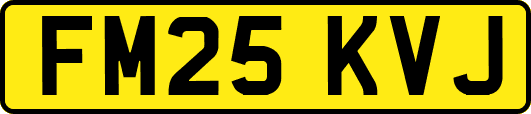 FM25KVJ