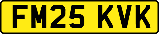 FM25KVK