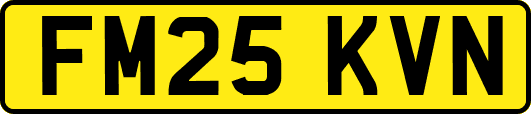 FM25KVN