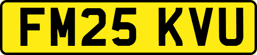 FM25KVU