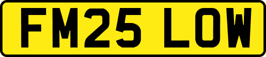 FM25LOW