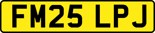 FM25LPJ