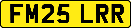 FM25LRR