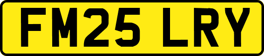 FM25LRY
