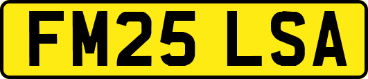 FM25LSA