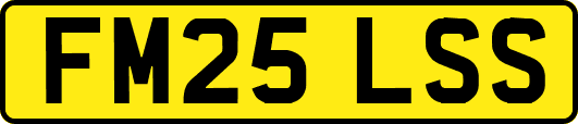 FM25LSS