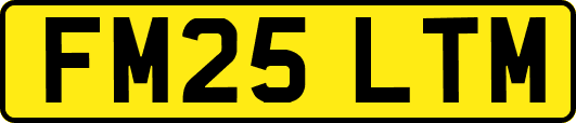 FM25LTM