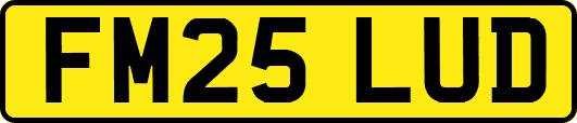 FM25LUD