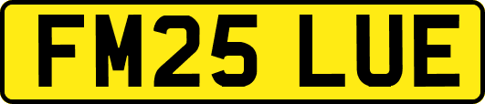 FM25LUE